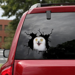 Owl Crack Window Decal Custom 3d Car Decal Vinyl Aesthetic Decal Funny Stickers Cute Gift Ideas Ae10844 Car Vinyl Decal Sticker Window Decals, Peel and Stick Wall Decals 18x18IN 2PCS