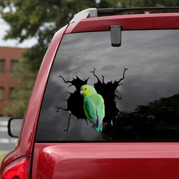 Parrot Crack Window Decal Custom 3d Car Decal Vinyl Aesthetic Decal Funny Stickers Cute Gift Ideas Ae10871 Car Vinyl Decal Sticker Window Decals, Peel and Stick Wall Decals 18x18IN 2PCS