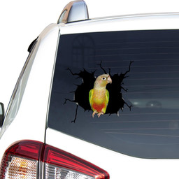 Parrot Crack Window Decal Custom 3d Car Decal Vinyl Aesthetic Decal Funny Stickers Cute Gift Ideas Ae10866 Car Vinyl Decal Sticker Window Decals, Peel and Stick Wall Decals