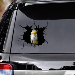 Parrot Crack Window Decal Custom 3d Car Decal Vinyl Aesthetic Decal Funny Stickers Cute Gift Ideas Ae10879 Car Vinyl Decal Sticker Window Decals, Peel and Stick Wall Decals