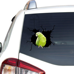 Parrot Crack Window Decal Custom 3d Car Decal Vinyl Aesthetic Decal Funny Stickers Cute Gift Ideas Ae10855 Car Vinyl Decal Sticker Window Decals, Peel and Stick Wall Decals
