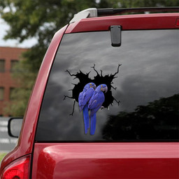 Parrot Crack Window Decal Custom 3d Car Decal Vinyl Aesthetic Decal Funny Stickers Cute Gift Ideas Ae10861 Car Vinyl Decal Sticker Window Decals, Peel and Stick Wall Decals 18x18IN 2PCS