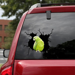 Parrot Crack Window Decal Custom 3d Car Decal Vinyl Aesthetic Decal Funny Stickers Cute Gift Ideas Ae10855 Car Vinyl Decal Sticker Window Decals, Peel and Stick Wall Decals 18x18IN 2PCS