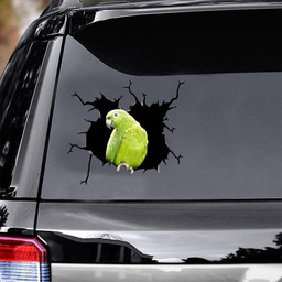 Parrot Crack Window Decal Custom 3d Car Decal Vinyl Aesthetic Decal Funny Stickers Cute Gift Ideas Ae10855 Car Vinyl Decal Sticker Window Decals, Peel and Stick Wall Decals
