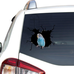 Parrot Crack Window Decal Custom 3d Car Decal Vinyl Aesthetic Decal Funny Stickers Cute Gift Ideas Ae10869 Car Vinyl Decal Sticker Window Decals, Peel and Stick Wall Decals