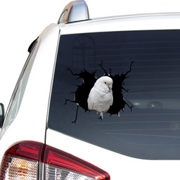 Parrot Crack Window Decal Custom 3d Car Decal Vinyl Aesthetic Decal Funny Stickers Cute Gift Ideas Ae10881 Car Vinyl Decal Sticker Window Decals, Peel and Stick Wall Decals