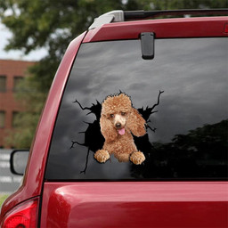 Poodle Dog Breeds Dogs Puppy Camellia Crack Window Decal Custom 3d Car Decal Vinyl Aesthetic Decal Funny Stickers Cute Gift Ideas Ae10935 Car Vinyl Decal Sticker Window Decals, Peel and Stick Wall Decals 18x18IN 2PCS