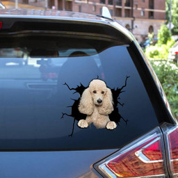 Poodle Dog Breeds Dogs Puppy Camellia Crack Window Decal Custom 3d Car Decal Vinyl Aesthetic Decal Funny Stickers Cute Gift Ideas Ae10936 Car Vinyl Decal Sticker Window Decals, Peel and Stick Wall Decals 12x12IN 2PCS