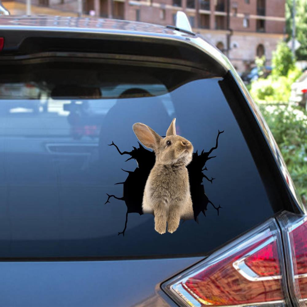 Rabbit Crack Window Decal Custom 3d Car Decal Vinyl Aesthetic Decal Funny Stickers Cute Gift Ideas Ae10964 Car Vinyl Decal Sticker Window Decals, Peel and Stick Wall Decals 12x12IN 2PCS