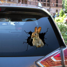 Rabbit Crack Window Decal Custom 3d Car Decal Vinyl Aesthetic Decal Funny Stickers Cute Gift Ideas Ae10963 Car Vinyl Decal Sticker Window Decals, Peel and Stick Wall Decals 12x12IN 2PCS