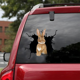 Rabbit Crack Window Decal Custom 3d Car Decal Vinyl Aesthetic Decal Funny Stickers Cute Gift Ideas Ae10970 Car Vinyl Decal Sticker Window Decals, Peel and Stick Wall Decals 18x18IN 2PCS