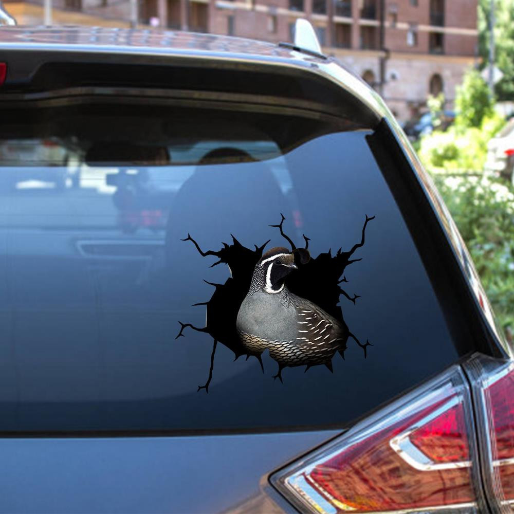 Quail Crack Window Decal Custom 3d Car Decal Vinyl Aesthetic Decal Funny Stickers Home Decor Gift Ideas Car Vinyl Decal Sticker Window Decals, Peel and Stick Wall Decals 12x12IN 2PCS