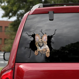 Savannah Cat Crack Window Decal Custom 3d Car Decal Vinyl Aesthetic Decal Funny Stickers Home Decor Gift Ideas Car Vinyl Decal Sticker Window Decals, Peel and Stick Wall Decals 18x18IN 2PCS