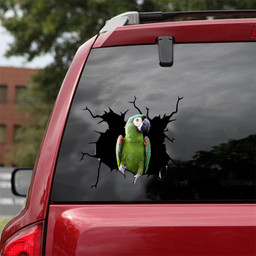 Severe Macaw Crack Window Decal Custom 3d Car Decal Vinyl Aesthetic Decal Funny Stickers Home Decor Gift Ideas Car Vinyl Decal Sticker Window Decals, Peel and Stick Wall Decals 18x18IN 2PCS