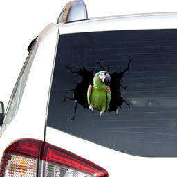 Severe Macaw Crack Window Decal Custom 3d Car Decal Vinyl Aesthetic Decal Funny Stickers Home Decor Gift Ideas Car Vinyl Decal Sticker Window Decals, Peel and Stick Wall Decals