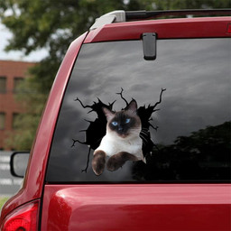 Siamese Cat Crack Window Decal Custom 3d Car Decal Vinyl Aesthetic Decal Funny Stickers Cute Gift Ideas Ae11082 Car Vinyl Decal Sticker Window Decals, Peel and Stick Wall Decals 18x18IN 2PCS