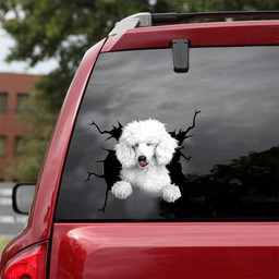 Standard Poodle Dog Breeds Dogs Puppy Crack Window Decal Custom 3d Car Decal Vinyl Aesthetic Decal Funny Stickers Cute Gift Ideas Ae11133 Car Vinyl Decal Sticker Window Decals, Peel and Stick Wall Decals 18x18IN 2PCS