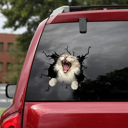 The Maine Coon Crack Window Decal Custom 3d Car Decal Vinyl Aesthetic Decal Funny Stickers Cute Gift Ideas Ae11142 Car Vinyl Decal Sticker Window Decals, Peel and Stick Wall Decals 18x18IN 2PCS
