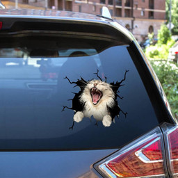 The Maine Coon Crack Window Decal Custom 3d Car Decal Vinyl Aesthetic Decal Funny Stickers Cute Gift Ideas Ae11142 Car Vinyl Decal Sticker Window Decals, Peel and Stick Wall Decals 12x12IN 2PCS