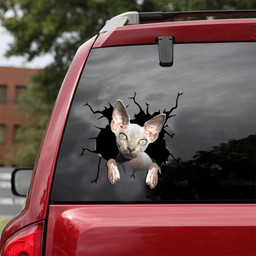 The Sphynx Crack Window Decal Custom 3d Car Decal Vinyl Aesthetic Decal Funny Stickers Home Decor Gift Ideas Car Vinyl Decal Sticker Window Decals, Peel and Stick Wall Decals 18x18IN 2PCS