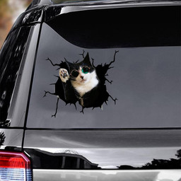 Tuxedo Cats Vinyl Car Items Nice Car Window S Retirement Gifts For Women.Png Car Vinyl Decal Sticker Window Decals, Peel and Stick Wall Decals