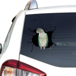 Turquoise Pineapple Green Cheek Conure Crack Window Decal Custom 3d Car Decal Vinyl Aesthetic Decal Funny Stickers Home Decor Gift Ideas Car Vinyl Decal Sticker Window Decals, Peel and Stick Wall Decals