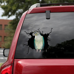 Turquoise Pineapple Green Cheek Conure Crack Window Decal Custom 3d Car Decal Vinyl Aesthetic Decal Funny Stickers Home Decor Gift Ideas Car Vinyl Decal Sticker Window Decals, Peel and Stick Wall Decals 18x18IN 2PCS