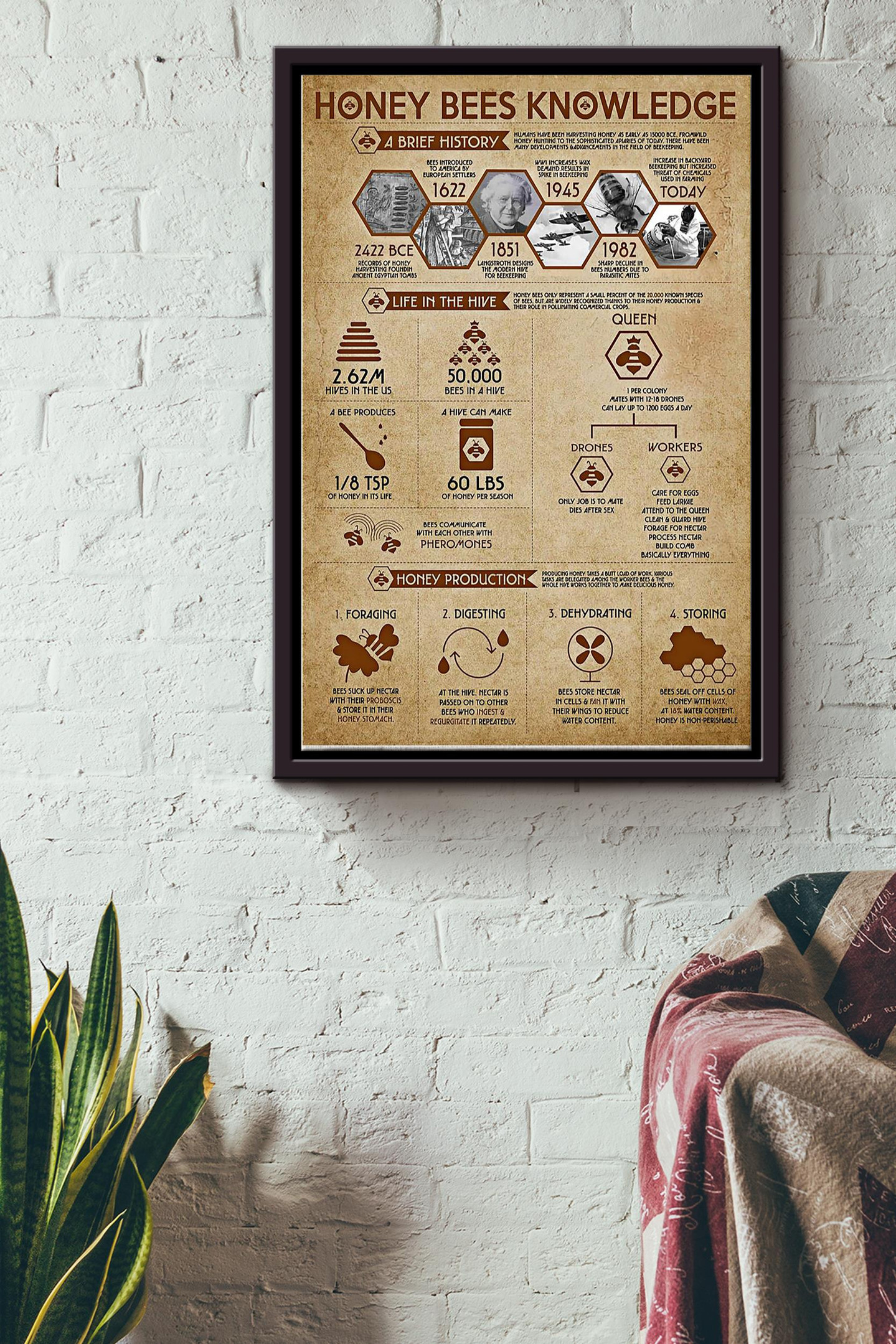 Honey Bees Knowledge Basic Information Canvas Bee Knowledge Gift For ...