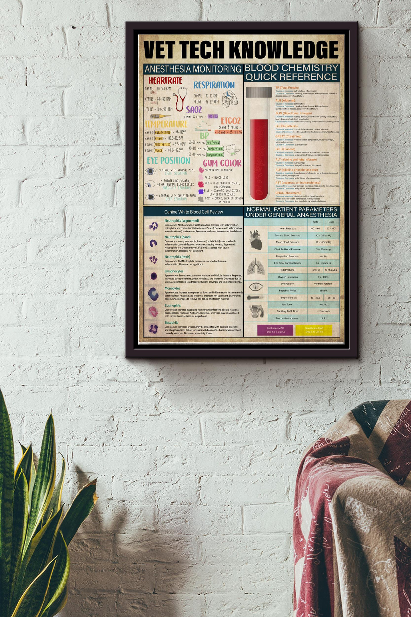 Basic Vet Tech Knowledge Vet Tech Knowledge Basic Information Canvas Animal Knowledge Gift For ...