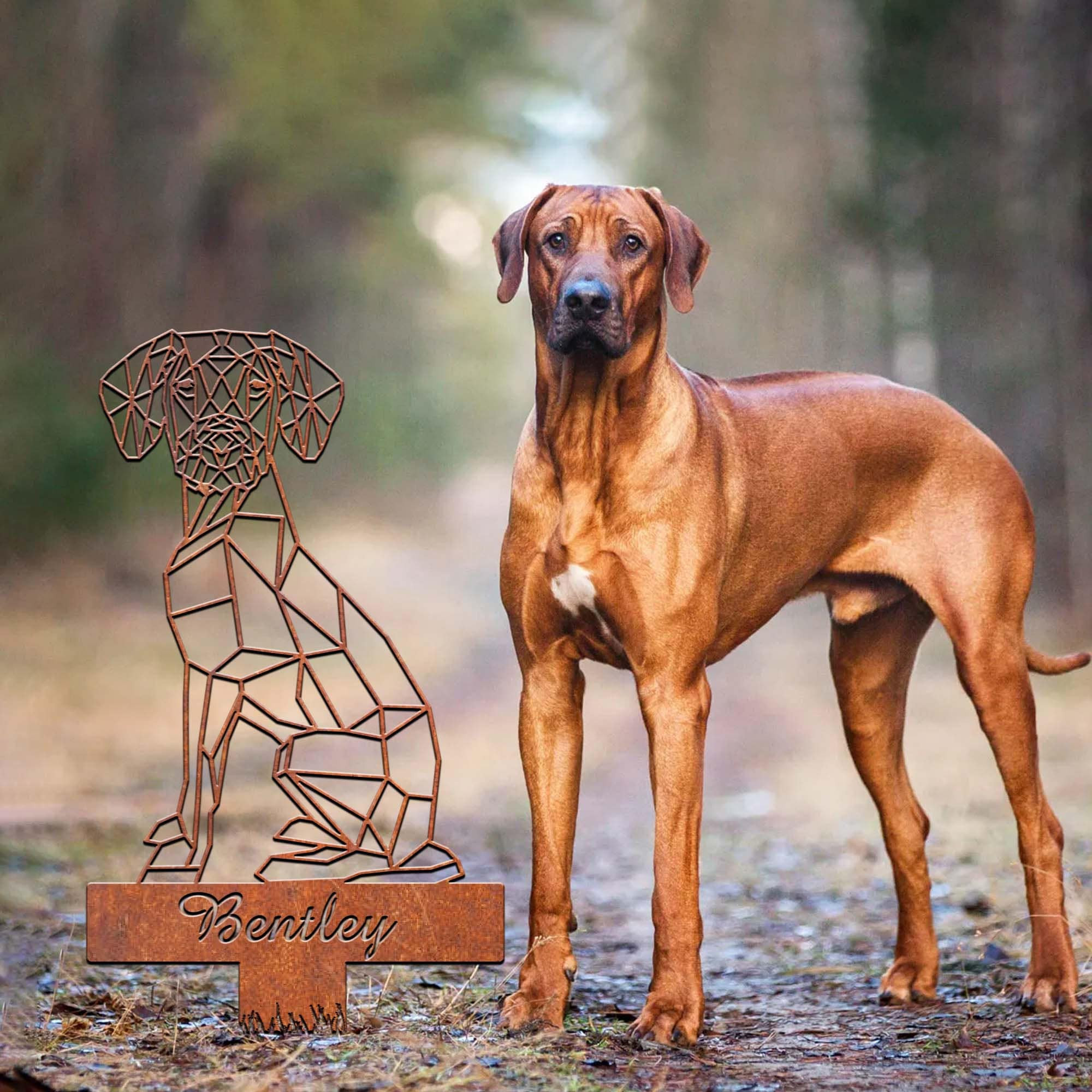 Rhodesian Ridgeback Geometric Garden Stake Rusty Rusted Metal Yard Art ...