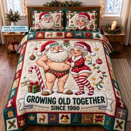 Growing Old 3 Piece Quilted Bedding Set Gift For Holiday Decor Lovers
