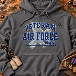 veteran-air-force-1947-22660 Hoodie-Grey.jpg