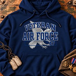 veteran-air-force-1947-22660 Hoodie-Navy.jpg
