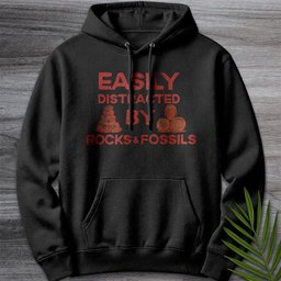 Distracted By Rocks And Fossils Premium Hoodie Gift For Nature Lover