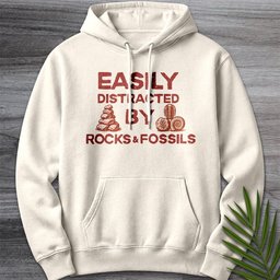 Distracted By Rocks And Fossils Premium Hoodie Gift For Nature Lover