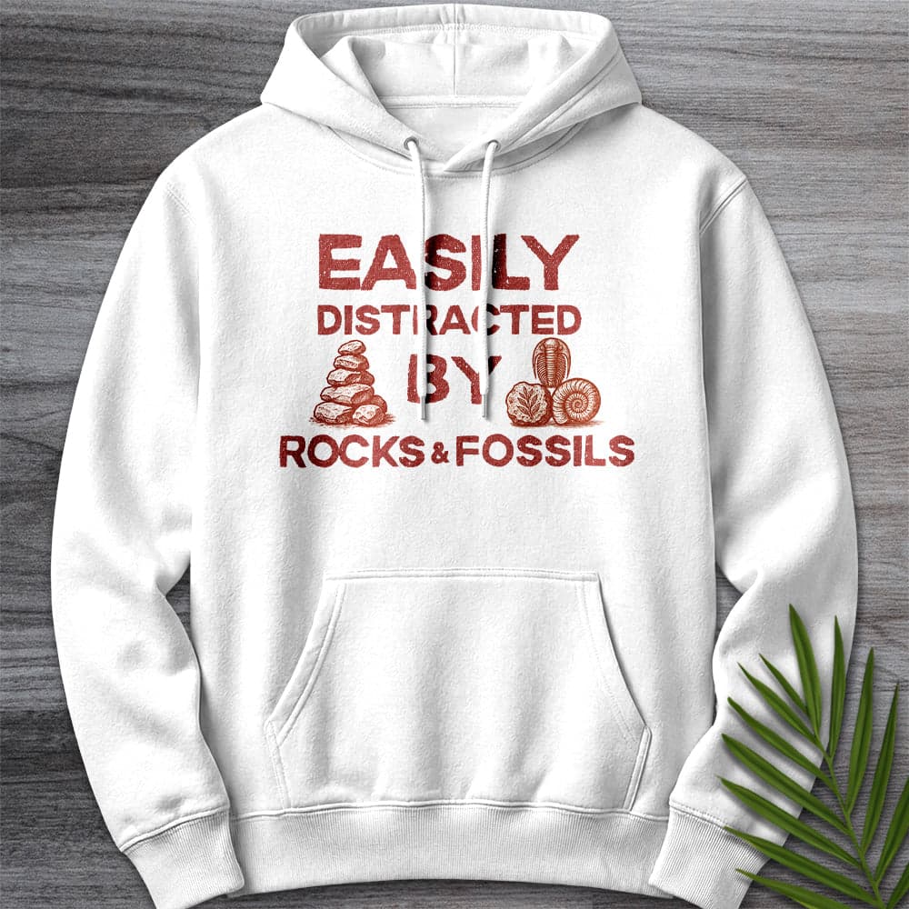Distracted By Rocks And Fossils Premium Hoodie Gift For Nature Lover