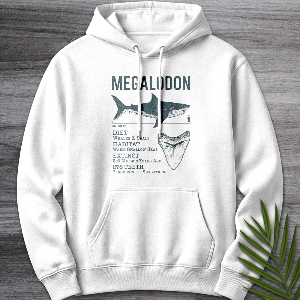 Megalodon Leviathan Of The Shallows Premium Hoodie Gift For Nature Lover