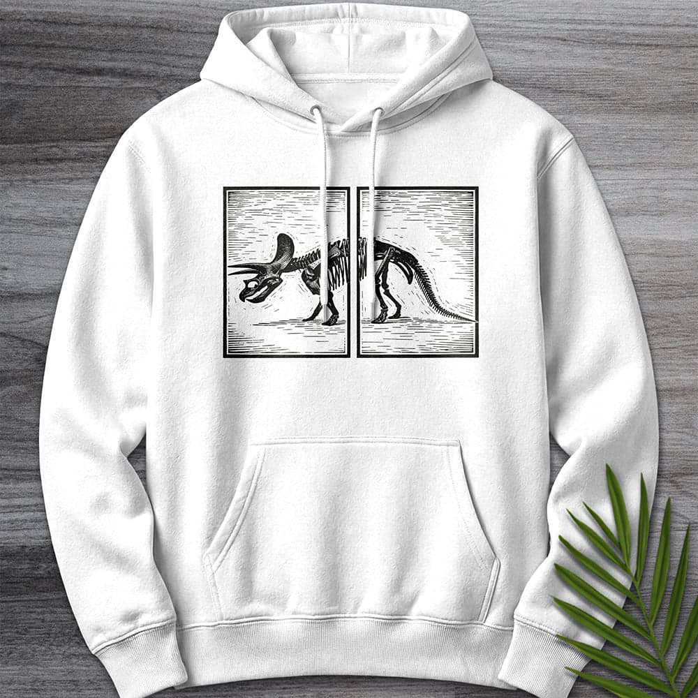 Across Triceratops Panels Premium Hoodie Gift For Dinosaur Lover