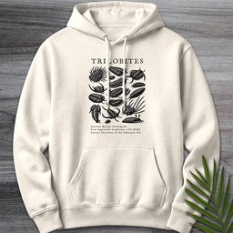 Elements Of The Trilobites Premium Hoodie Gift For Nature Lover