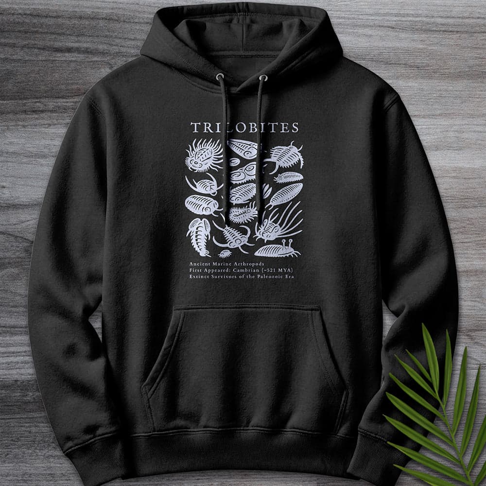 Elements Of The Trilobites Premium Hoodie Gift For Nature Lover