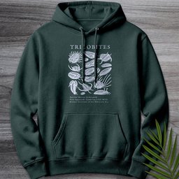 Elements Of The Trilobites Premium Hoodie Gift For Nature Lover