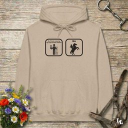 Age Appropriate Hobbies Hoodie Gift For Horse Lover