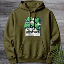 Pangea Earth Illustration Premium Hoodie Gift For Nature Lover