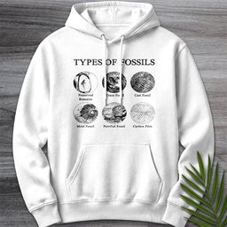 Types Of Fossils Premium Hoodie Gift For Nature Lover