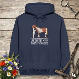 Lifes Better With A Pinto Hoodie Gift For Horse Lover