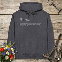 Horse Definition Hoodie Gift For Horse Lover
