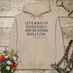 Lets Wake Up Super Early Hoodie Gift For Horse Lover