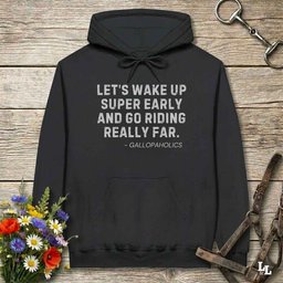Lets Wake Up Super Early Hoodie Gift For Horse Lover