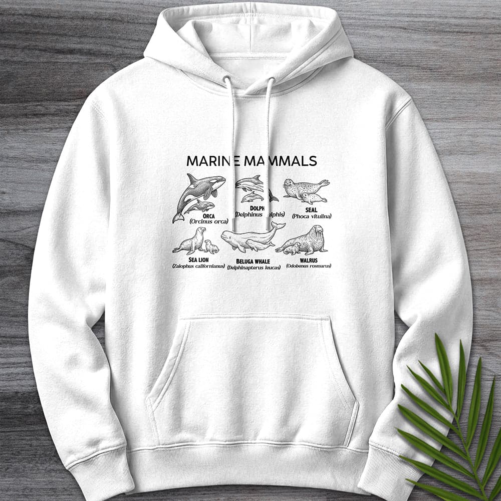 Vintage Marine Mammals Premium Hoodie Gift For Nature Lover