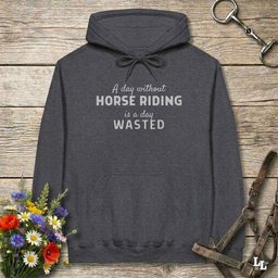 A Day Without Horse Riding Hoodie Gift For Horse Lover